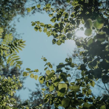 Forest Cabin - 50Min Od Warszawy Wola Polska Екстериор снимка
