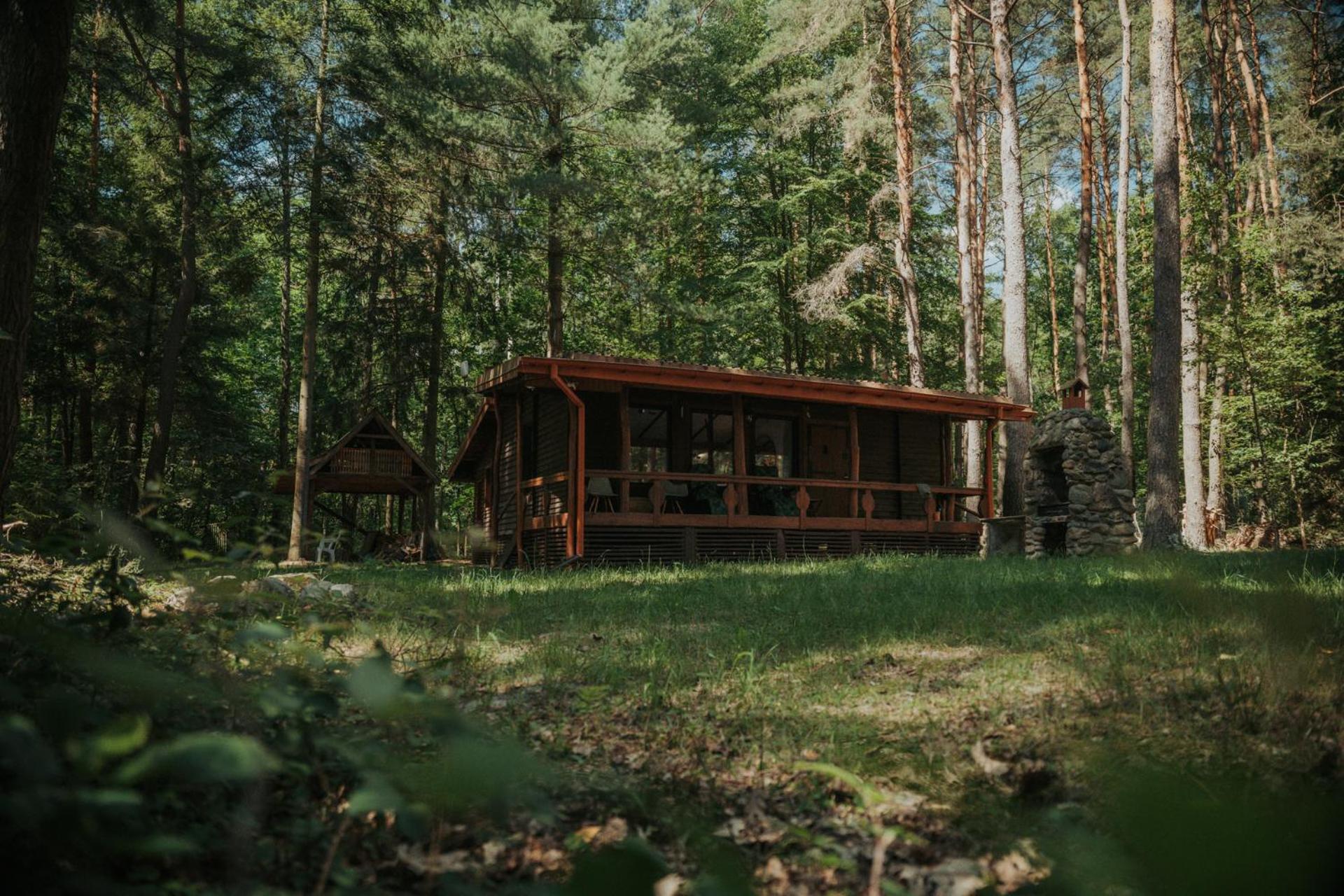Forest Cabin - 50Min Od Warszawy Wola Polska Екстериор снимка