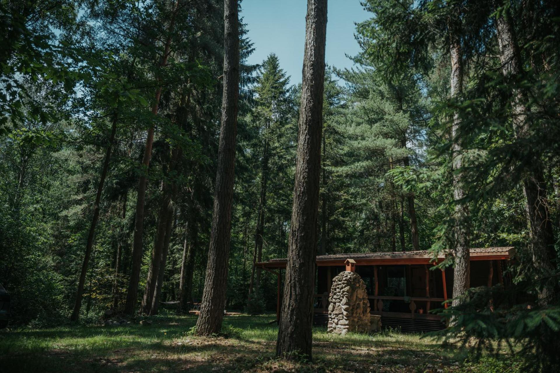 Forest Cabin - 50Min Od Warszawy Wola Polska Екстериор снимка