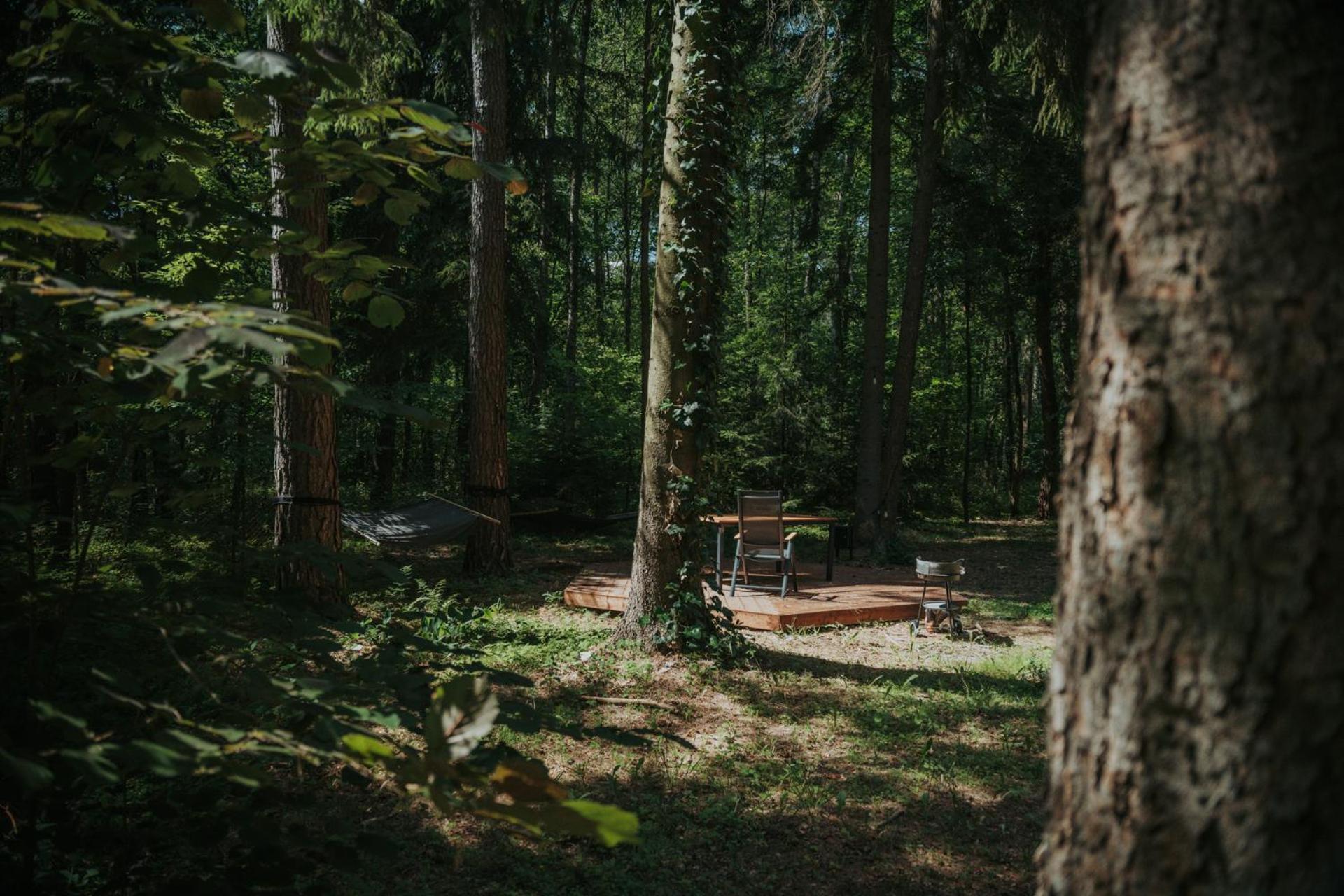 Forest Cabin - 50Min Od Warszawy Wola Polska Екстериор снимка
