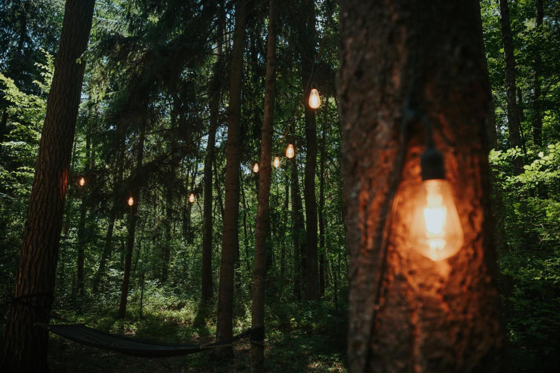 Forest Cabin - 50Min Od Warszawy Wola Polska Екстериор снимка