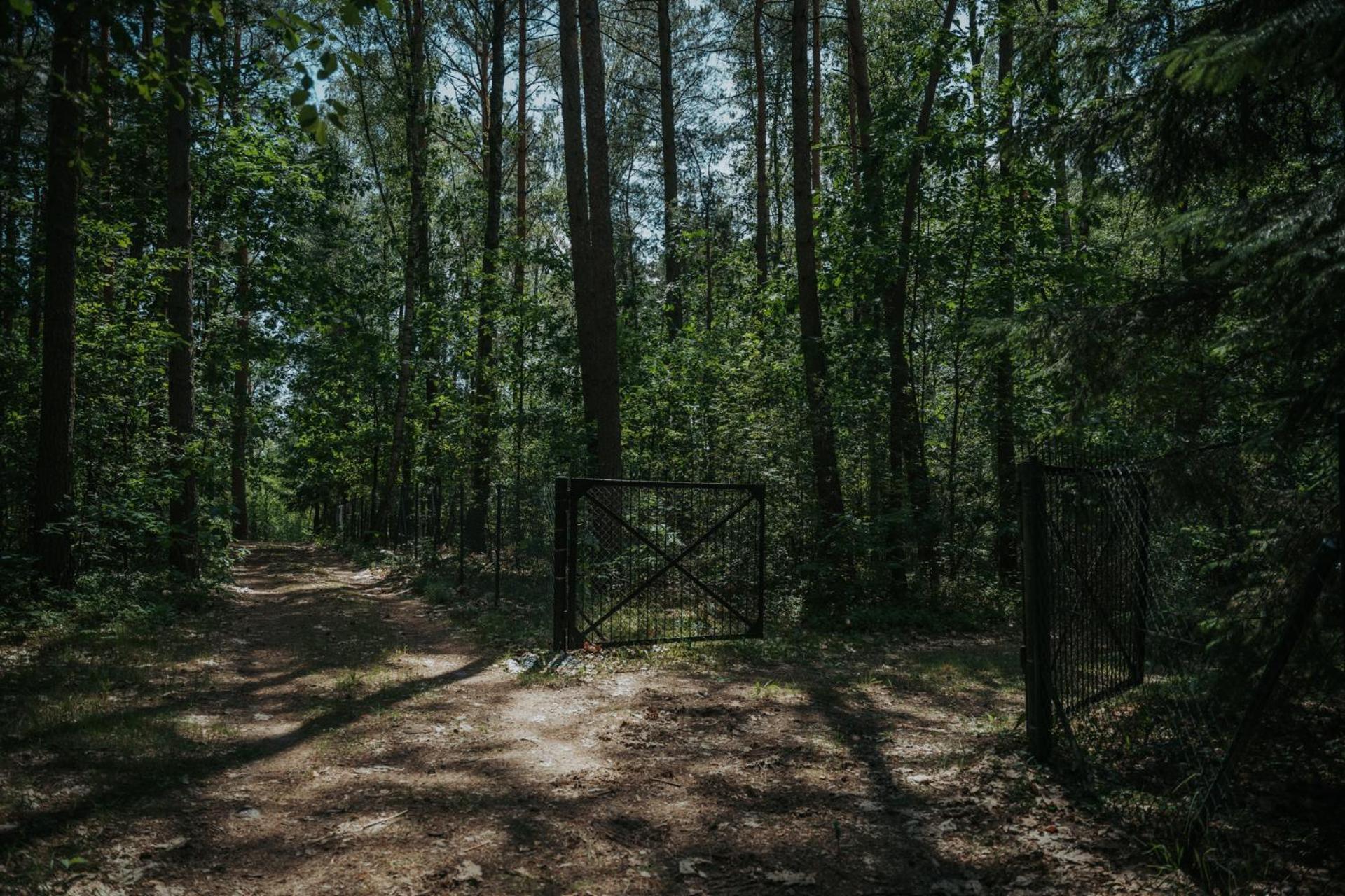 Forest Cabin - 50Min Od Warszawy Wola Polska Екстериор снимка
